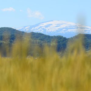 東北キャンプミーティング @ ヒルズサンピア山形 | 山形市 | 山形県 | 日本