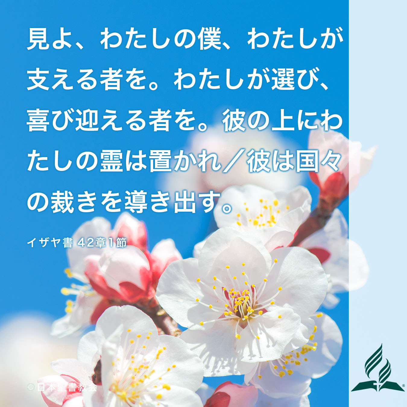 今週の暗唱聖句をお届けします