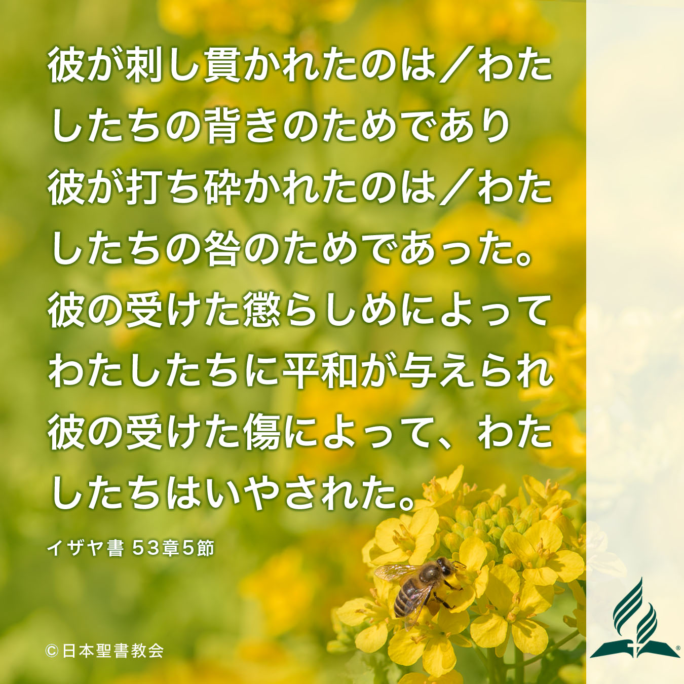 今週の暗唱聖句をお届けします