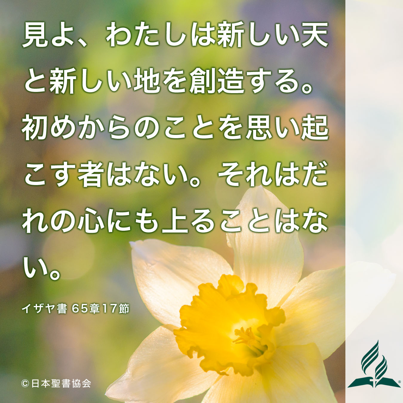 今週の暗唱聖句をお届けします