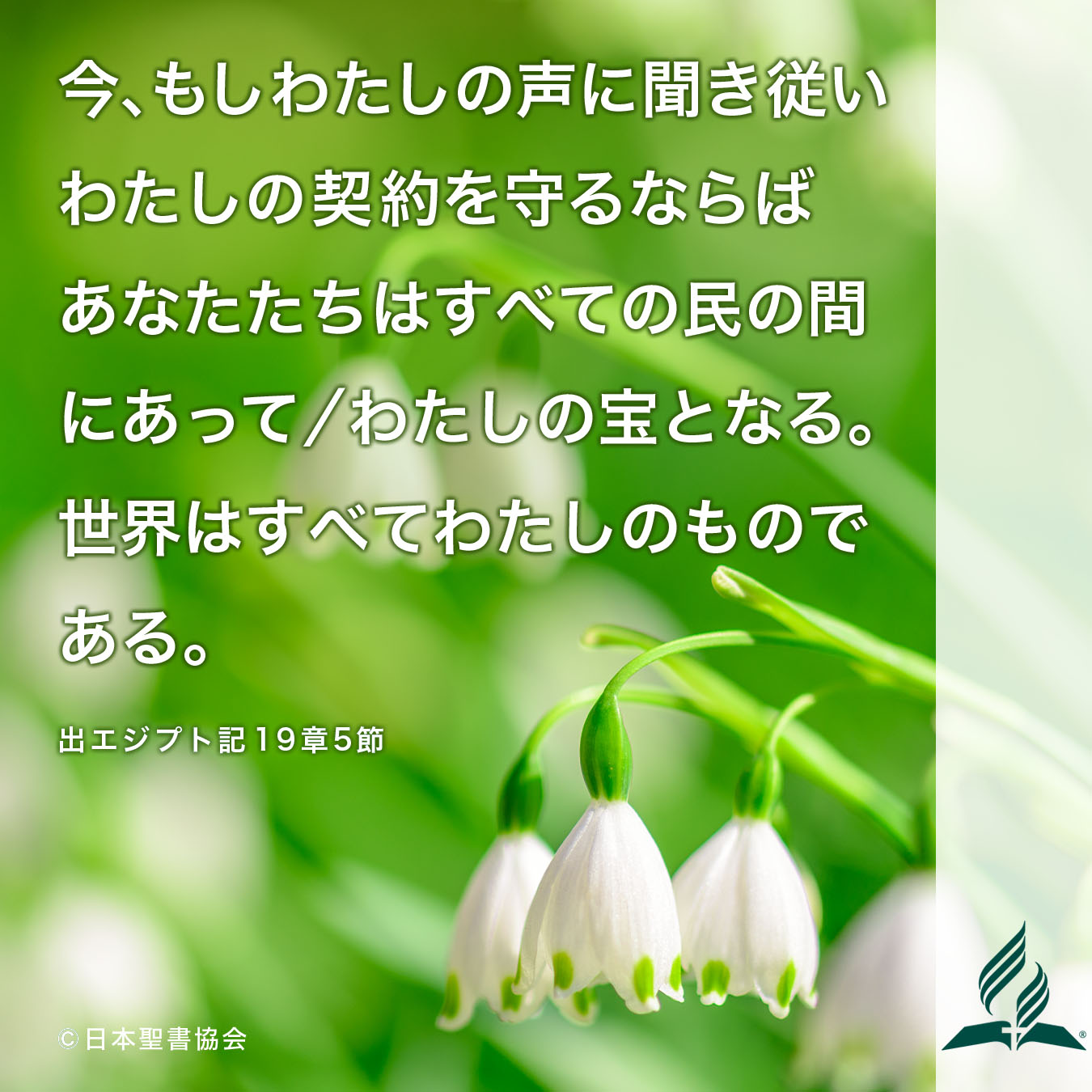今週の暗唱聖句をお届けします