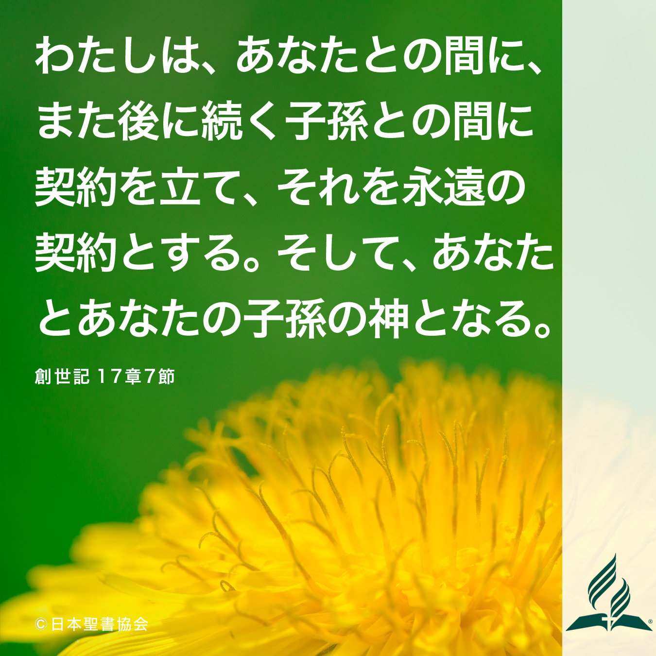 今週の暗唱聖句をお届けします