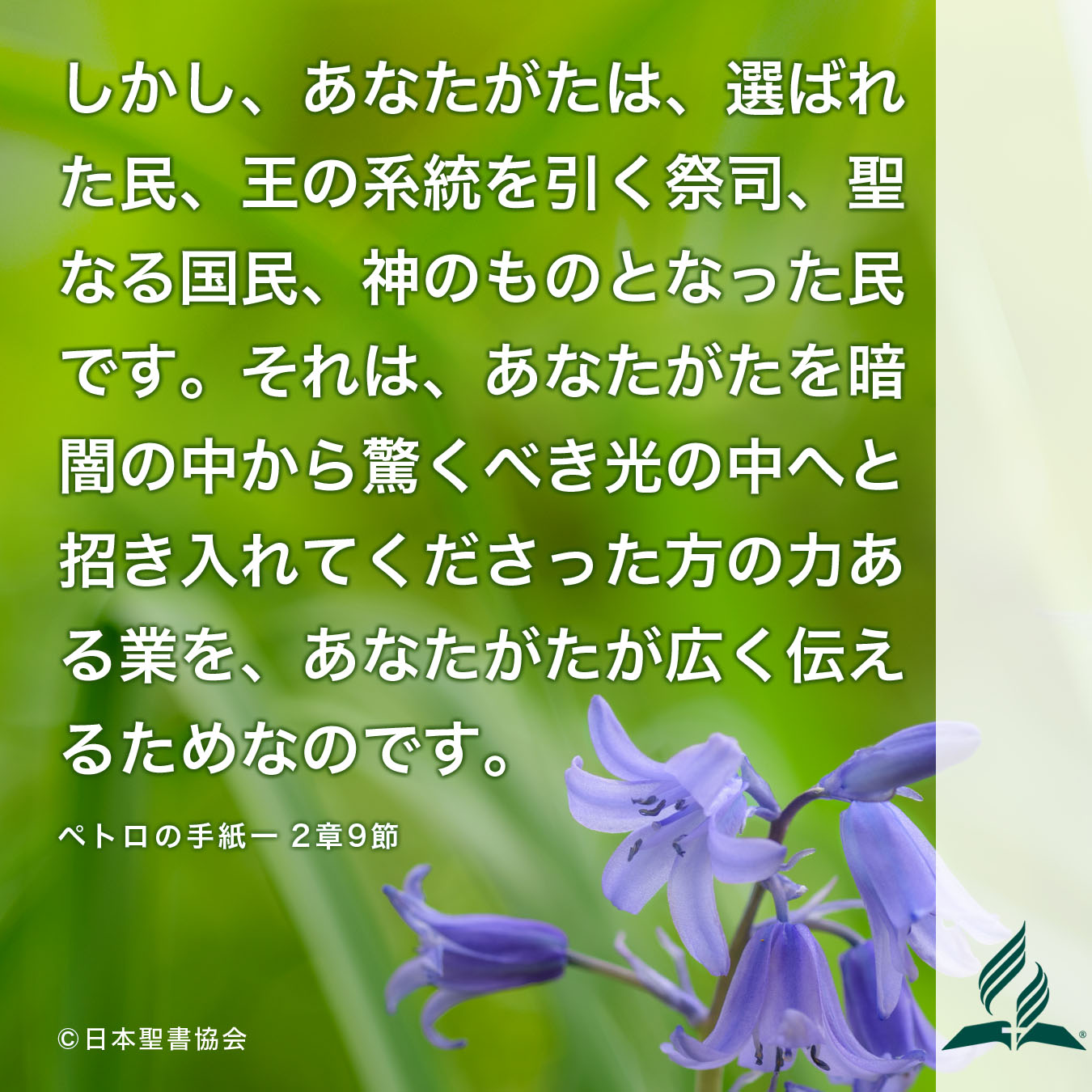 今週の暗唱聖句をお届けします