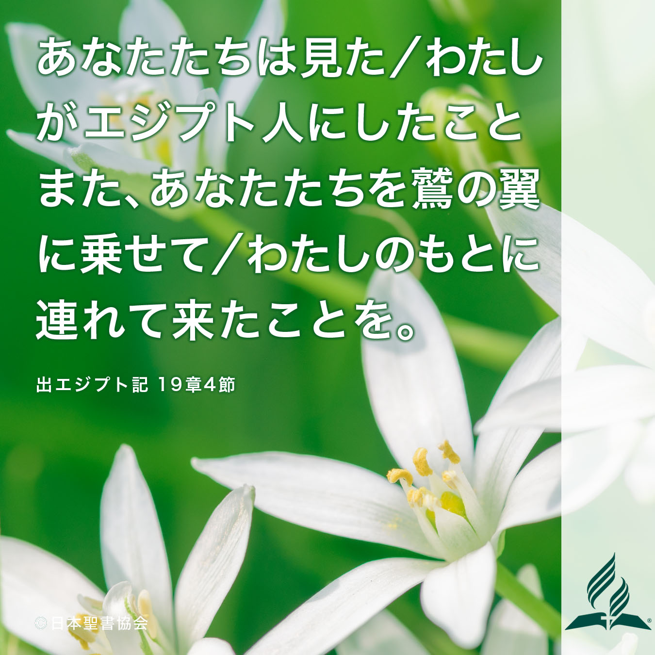 今週の暗唱聖句をお届けします