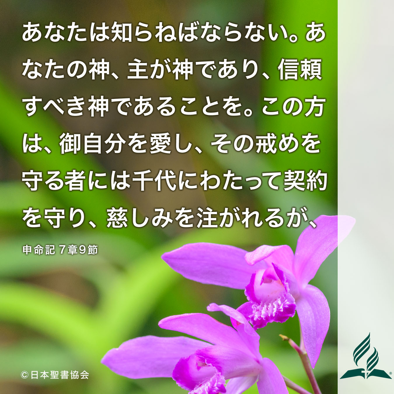 今週の暗唱聖句をお届けします