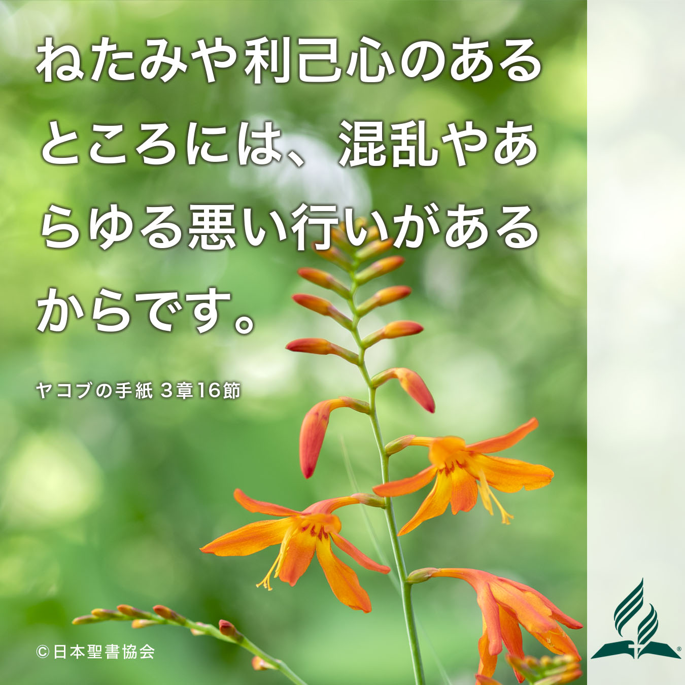 今週の暗唱聖句をお届けします