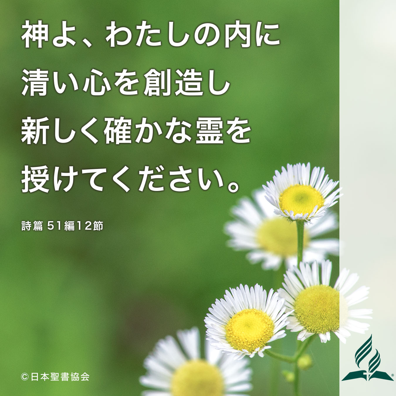 今週の暗唱聖句をお届けします 今週の暗唱聖句をお届けします