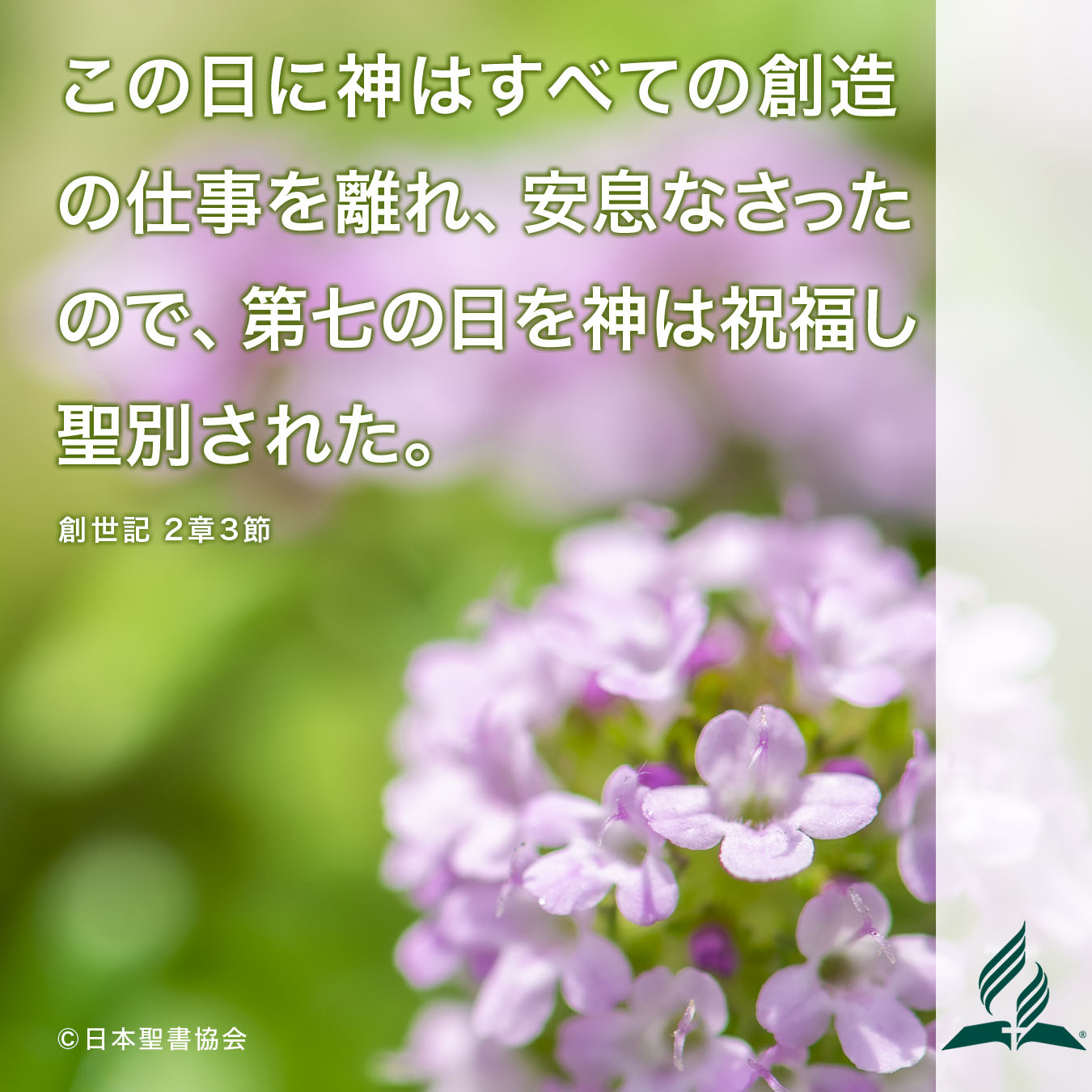 今週の暗唱聖句をお届けします