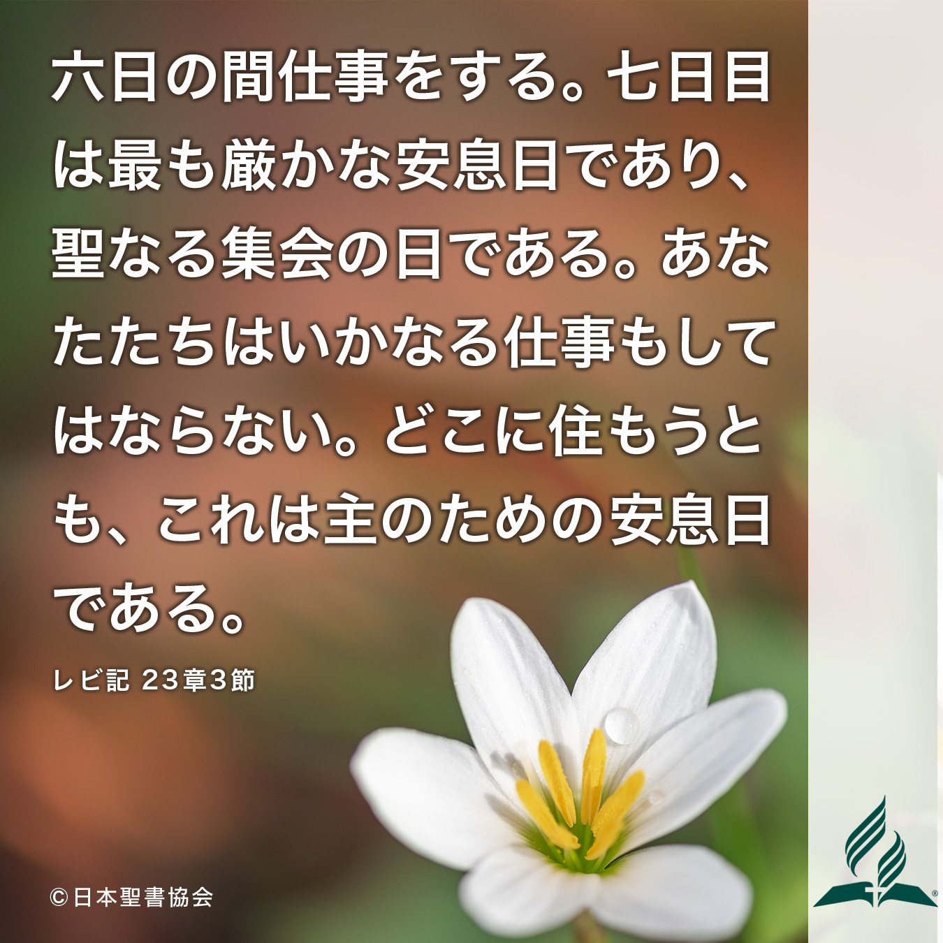 今週の暗唱聖句をお届けします