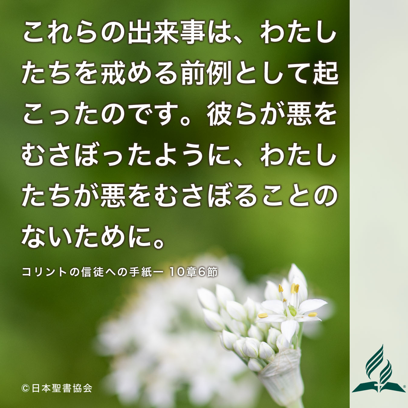 今週の暗唱聖句をお届けします