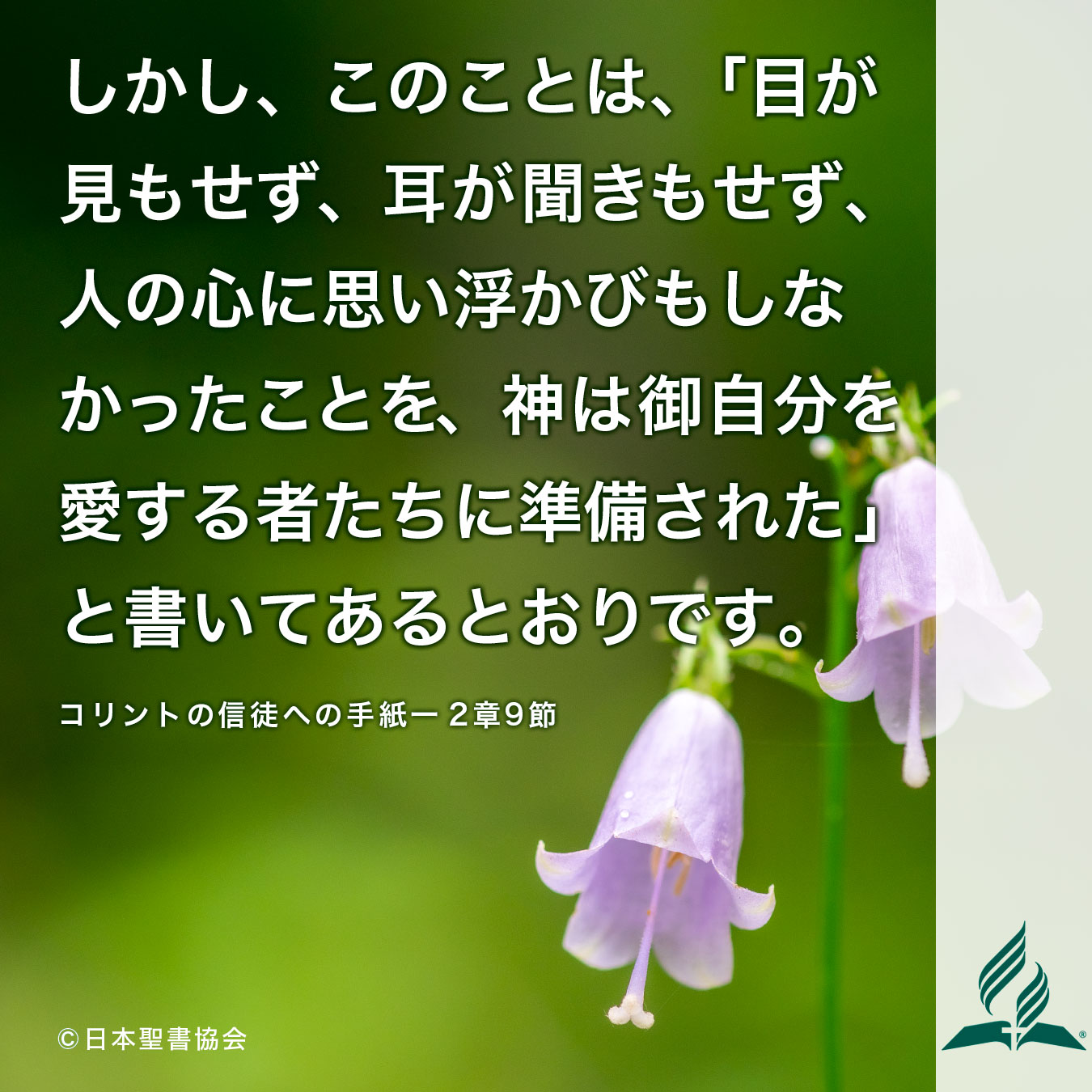 今週の暗唱聖句をお届けします