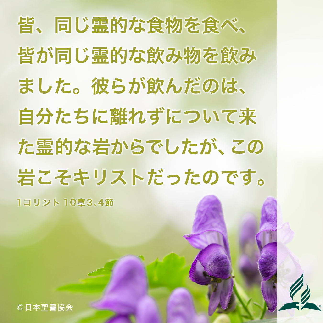 今週の暗唱聖句をお届けします