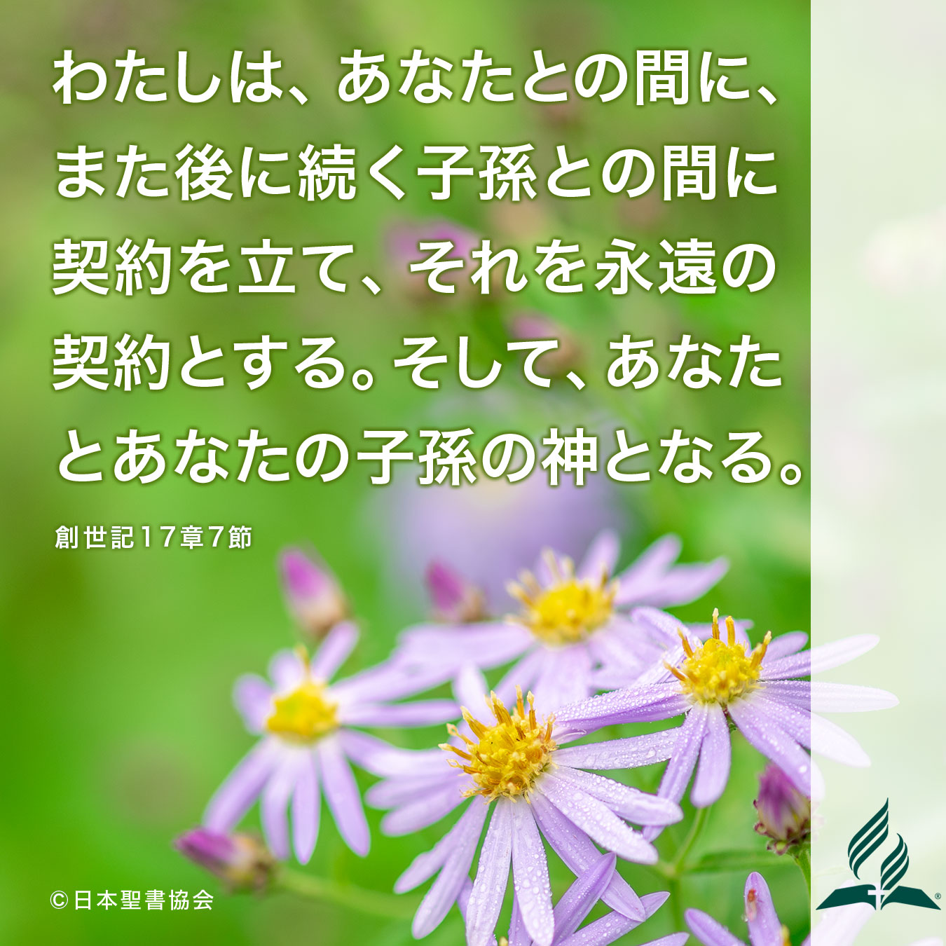 今週の暗唱聖句をお届けします