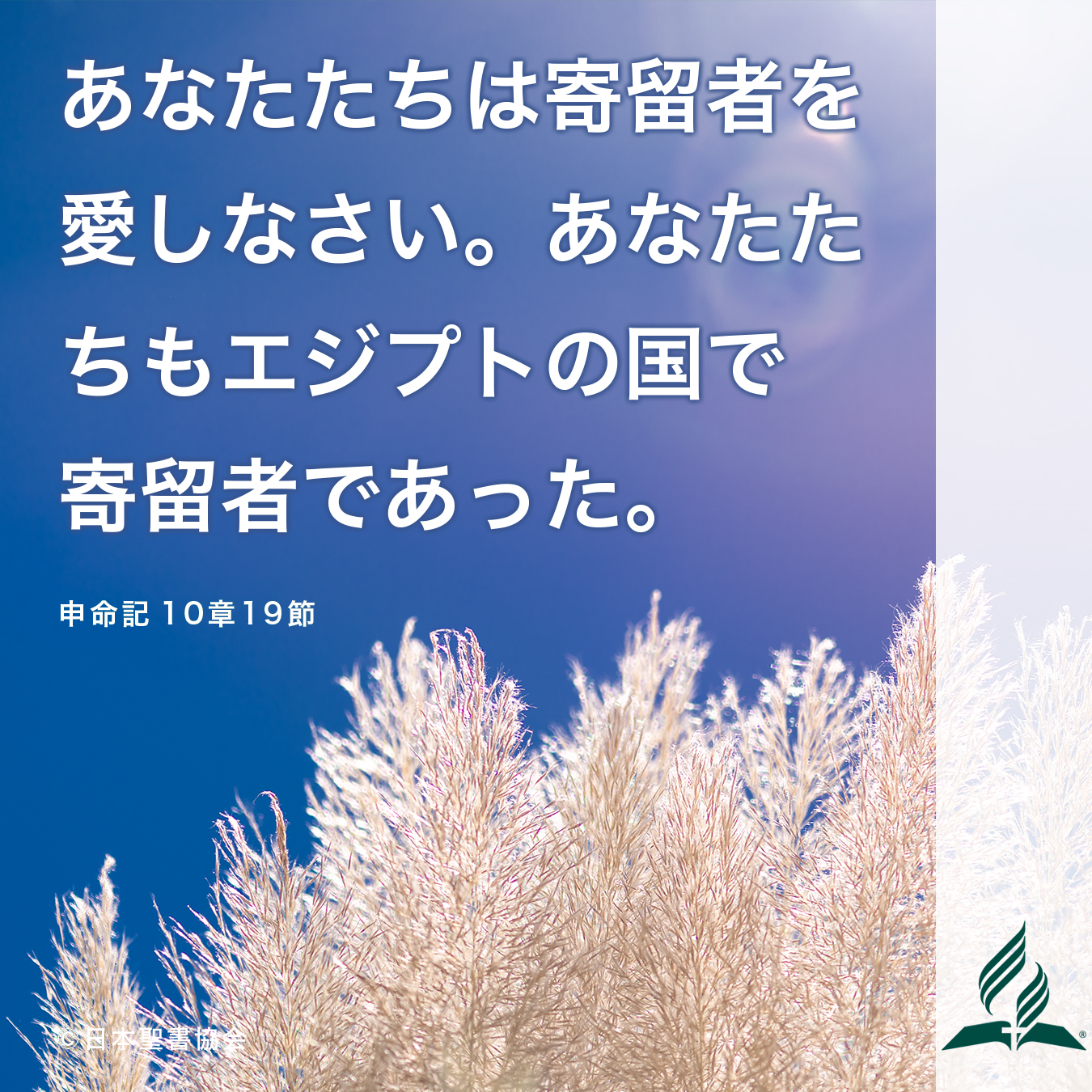 今週の暗唱聖句をお届けします 今週の暗唱聖句をお届けします