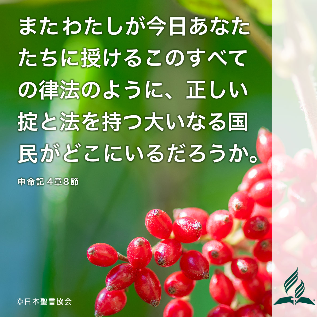 今週の暗唱聖句をお届けします