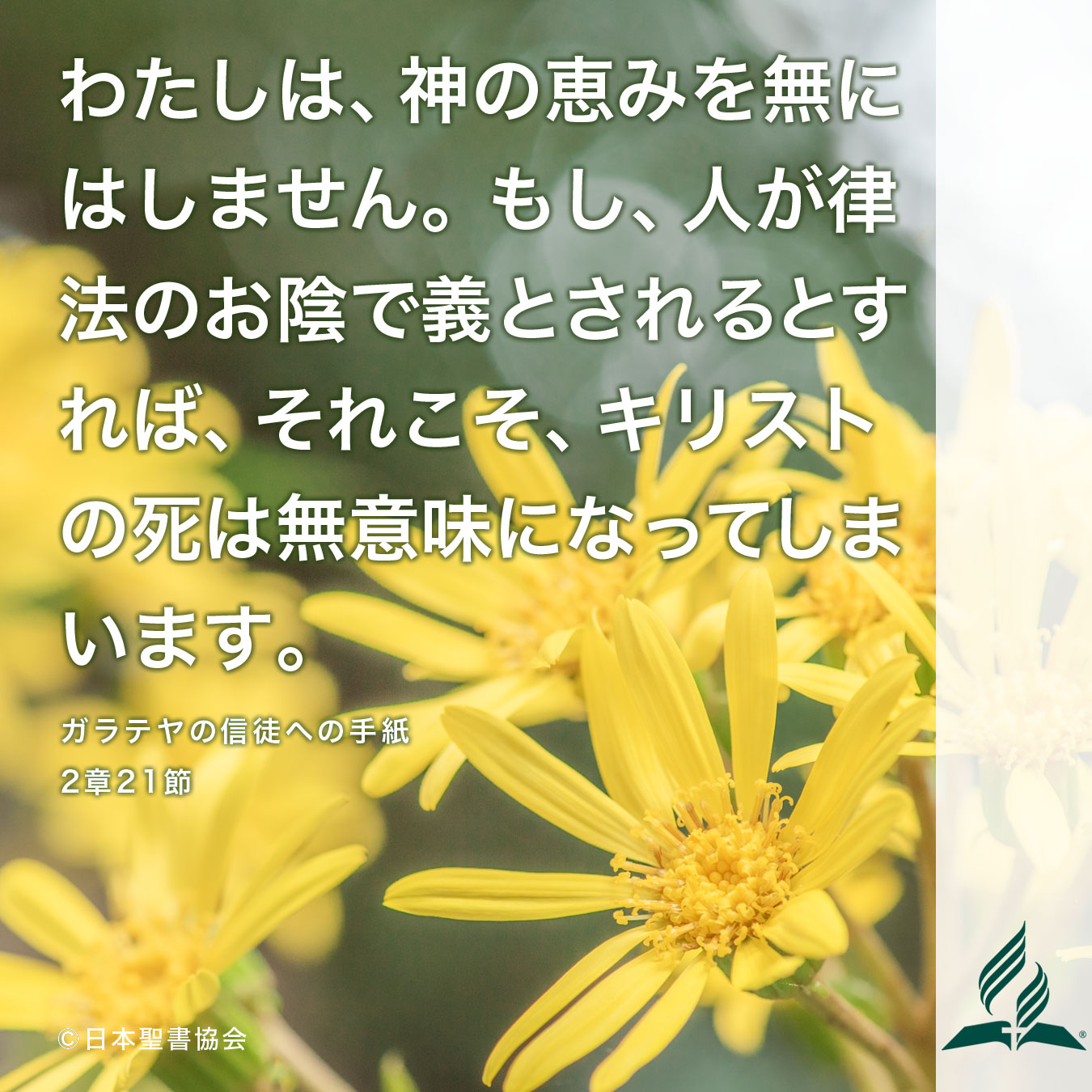 今週の暗唱聖句をお届けします