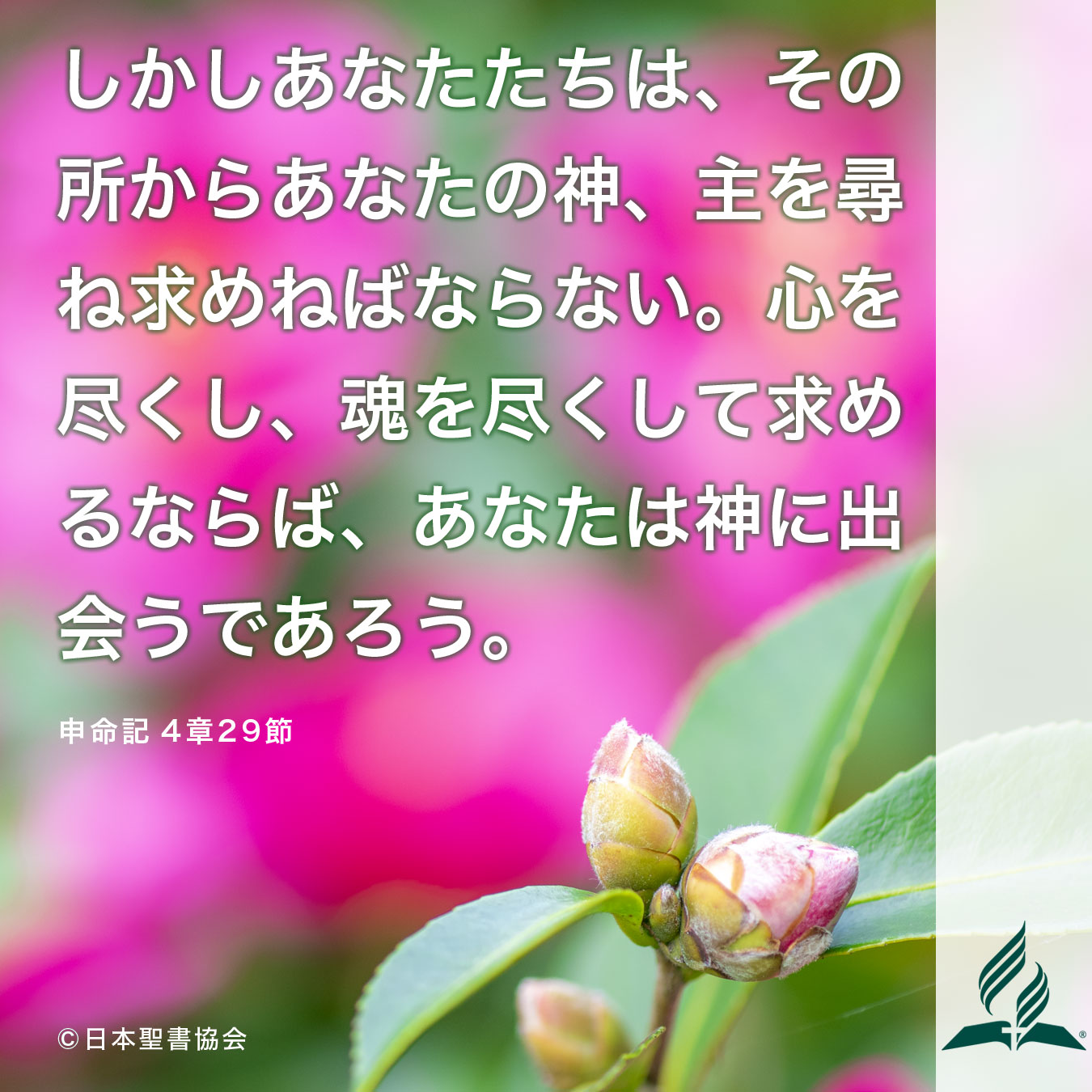 今週の暗唱聖句をお届けします