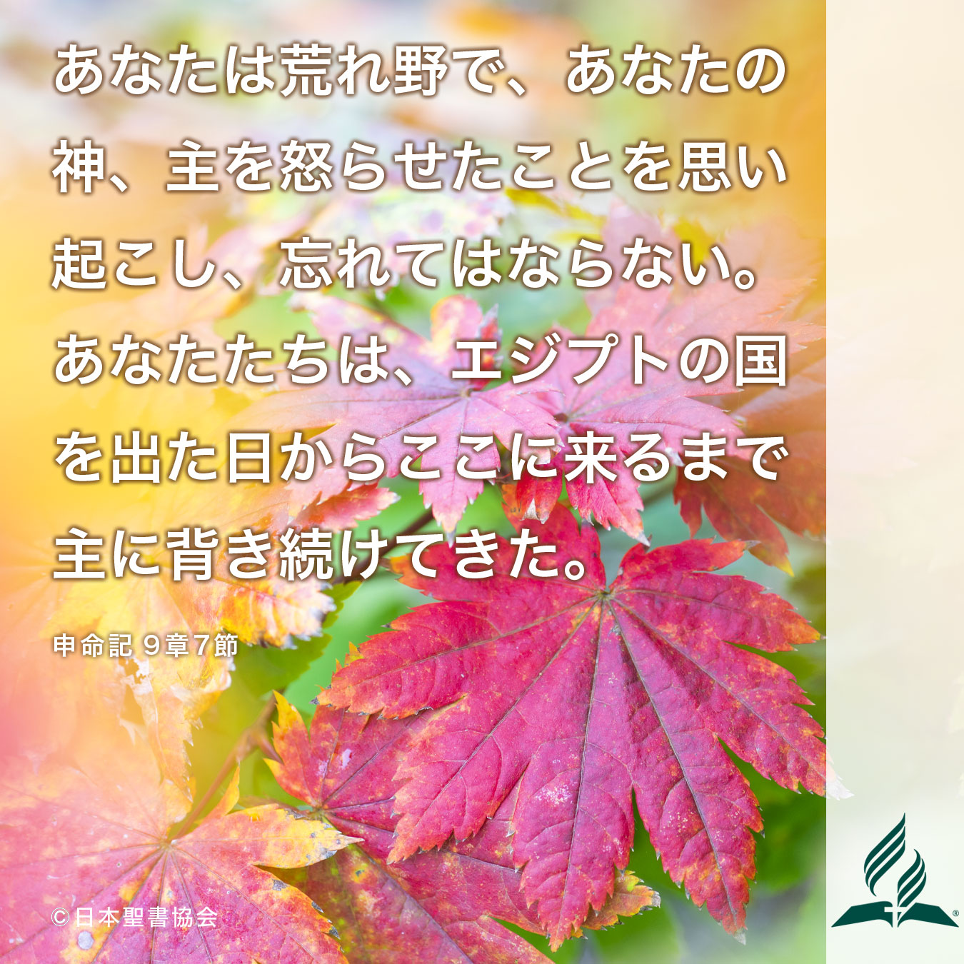 今週の暗唱聖句をお届けします