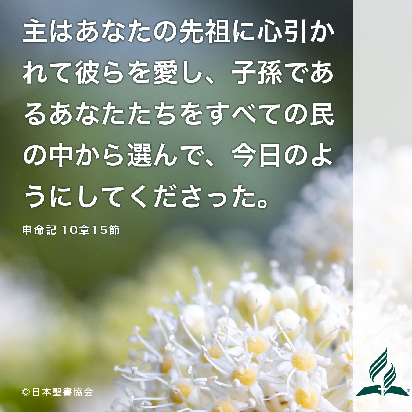 今週の暗唱聖句をお届けします