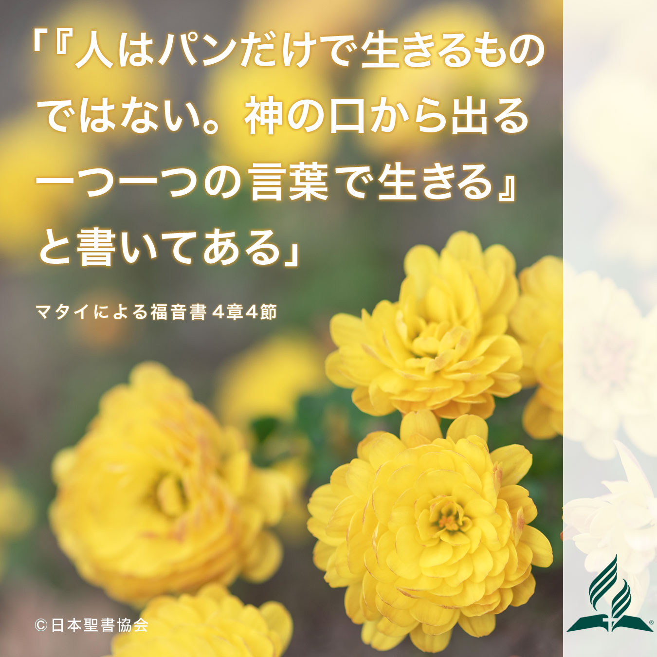 今週の暗唱聖句をお届けします