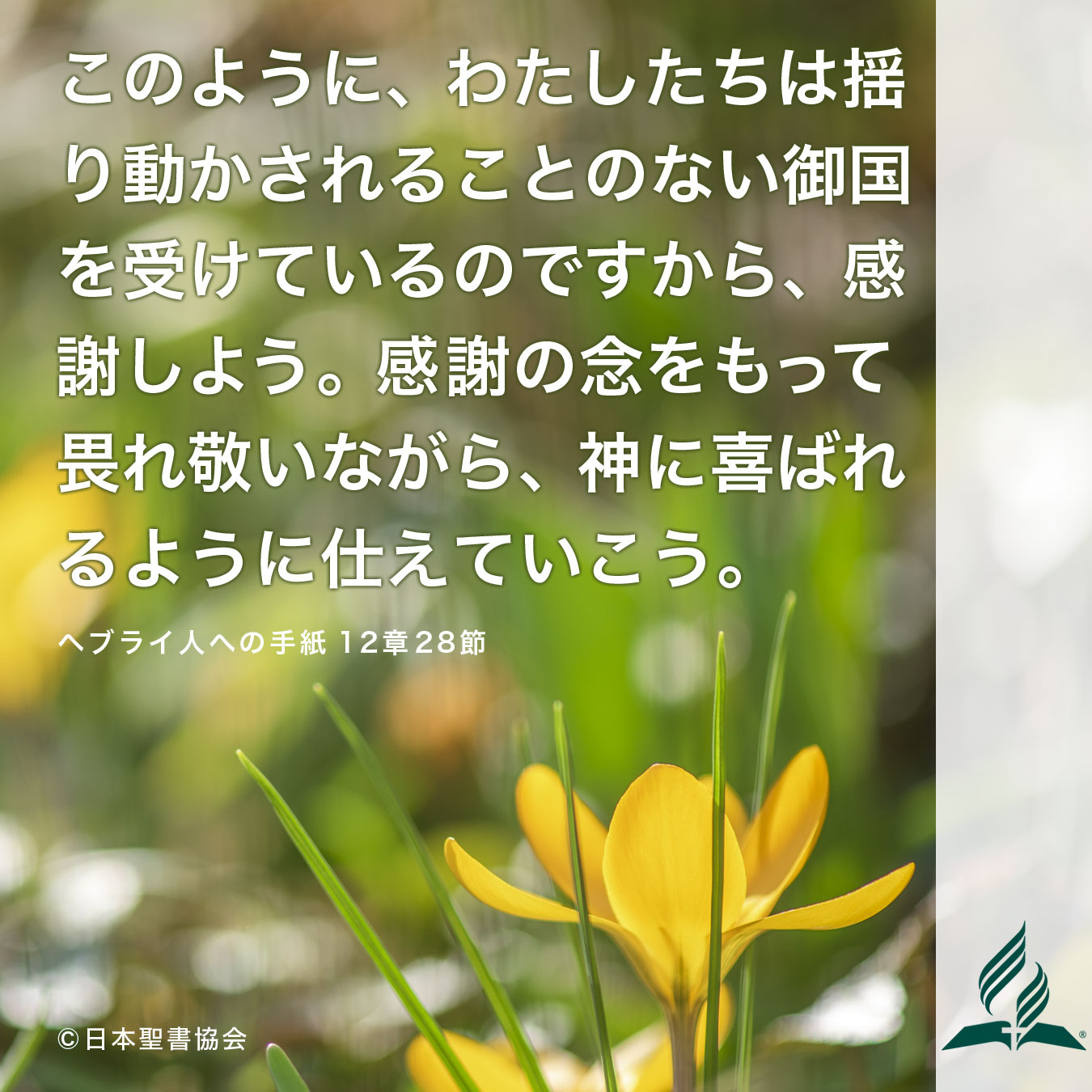 今週の暗唱聖句をお届けします