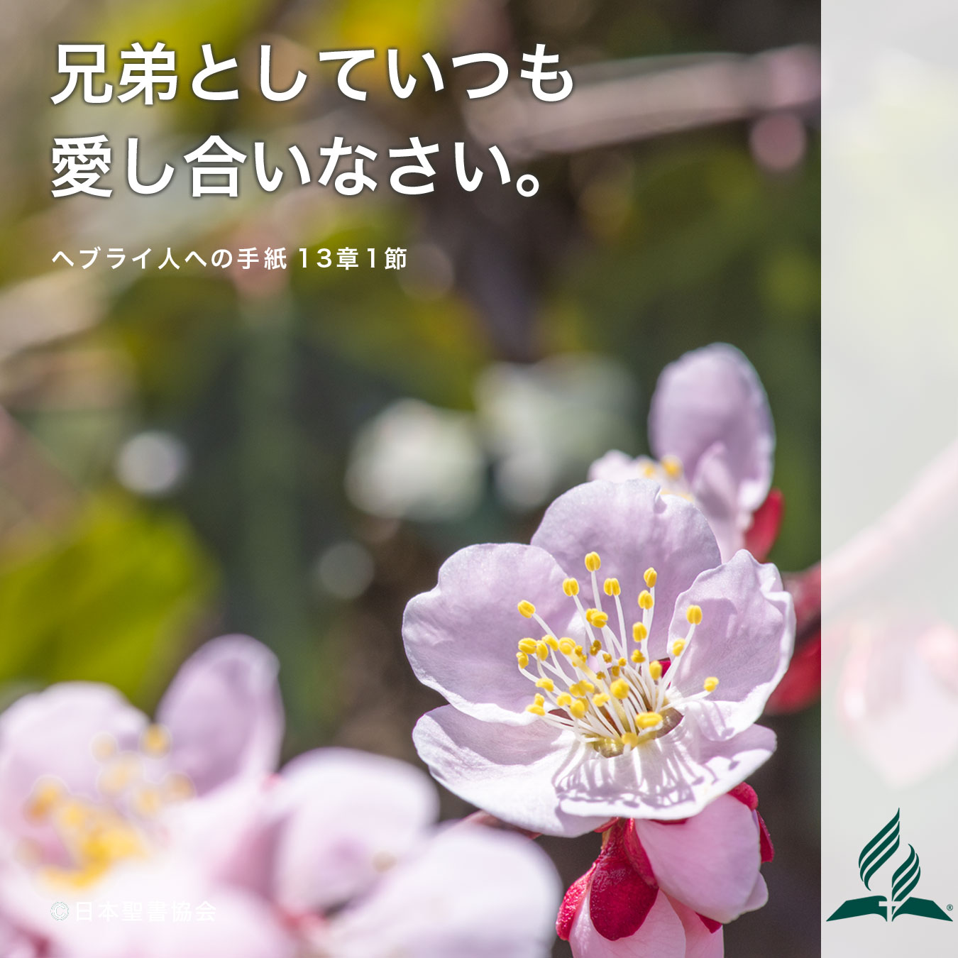 今週の暗唱聖句をお届けします