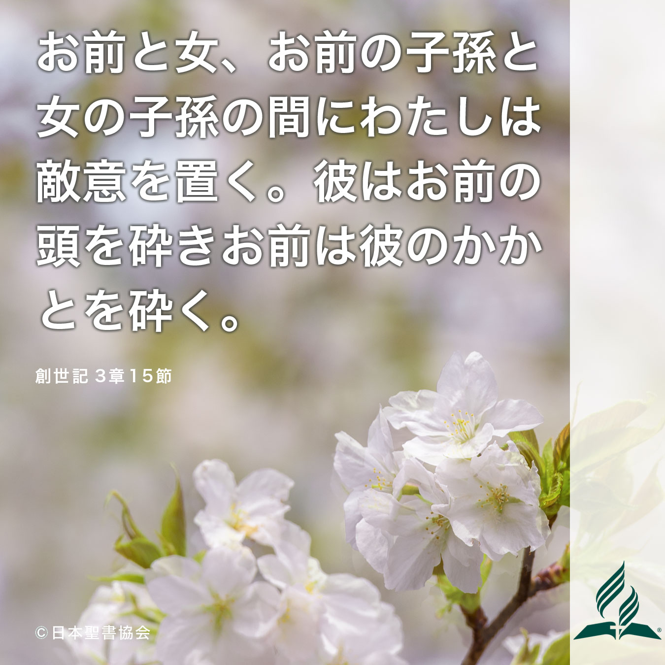 今週の暗唱聖句をお届けします