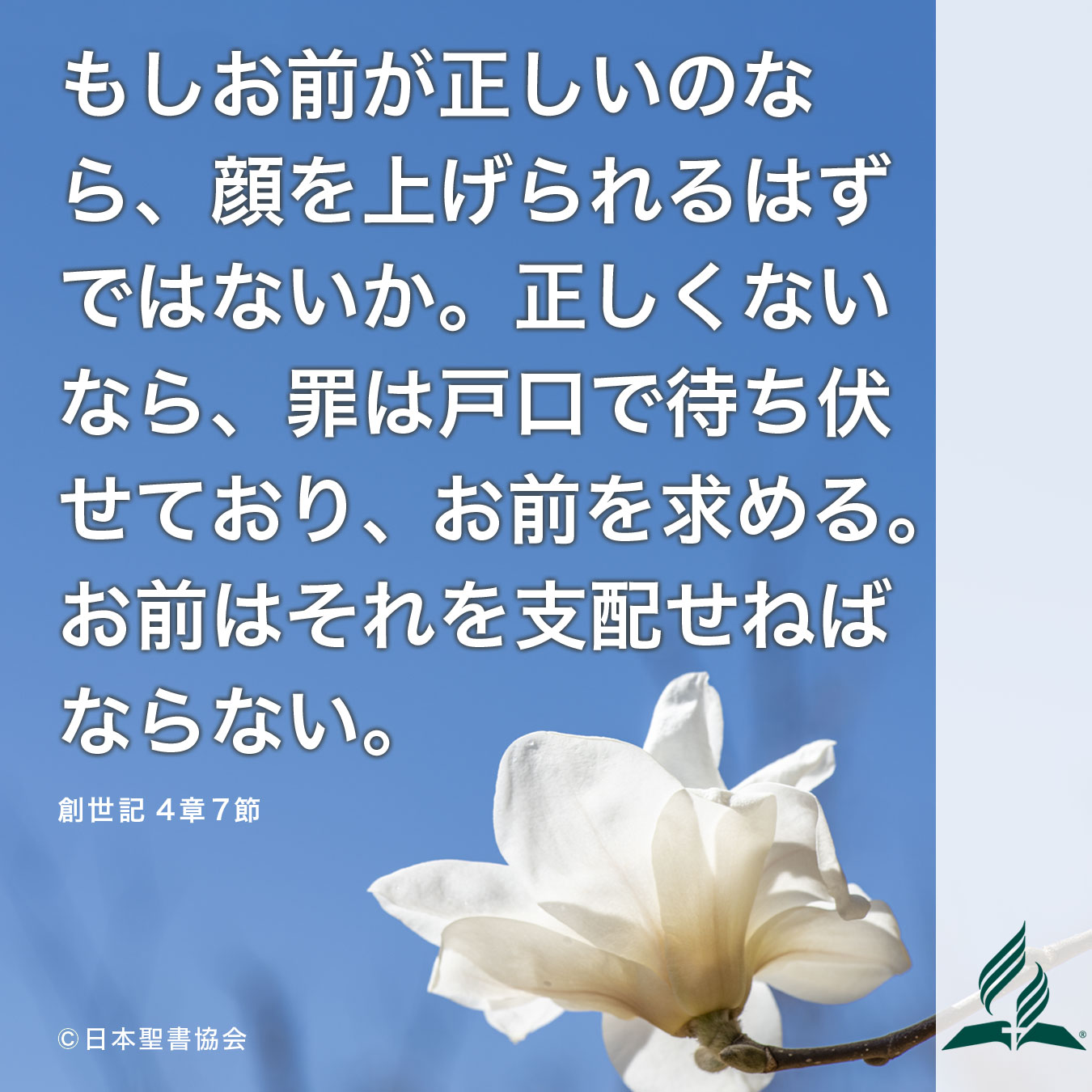 今週の暗唱聖句をお届けします