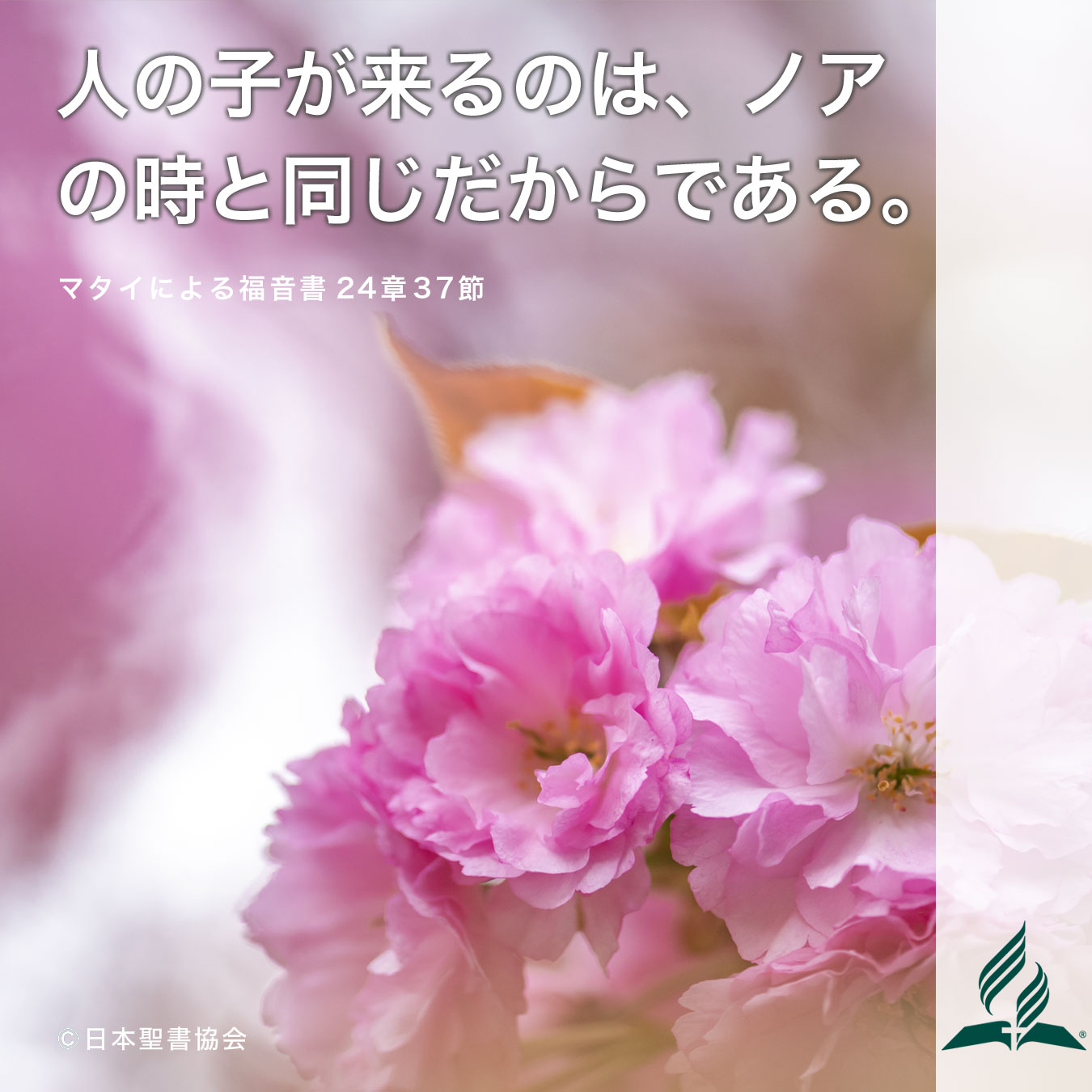 今週の暗唱聖句をお届けします