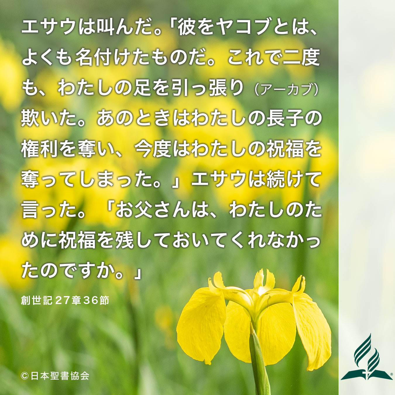 今週の暗唱聖句をお届けします