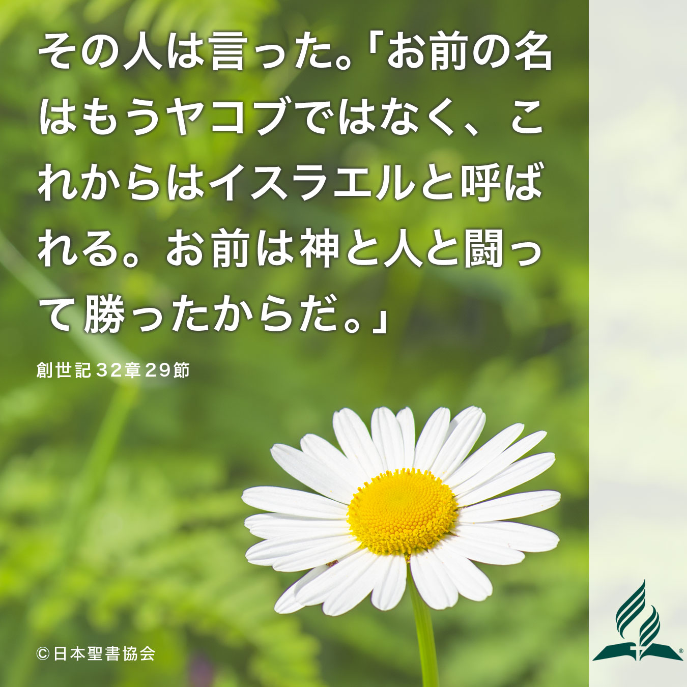 今週の暗唱聖句をお届けします