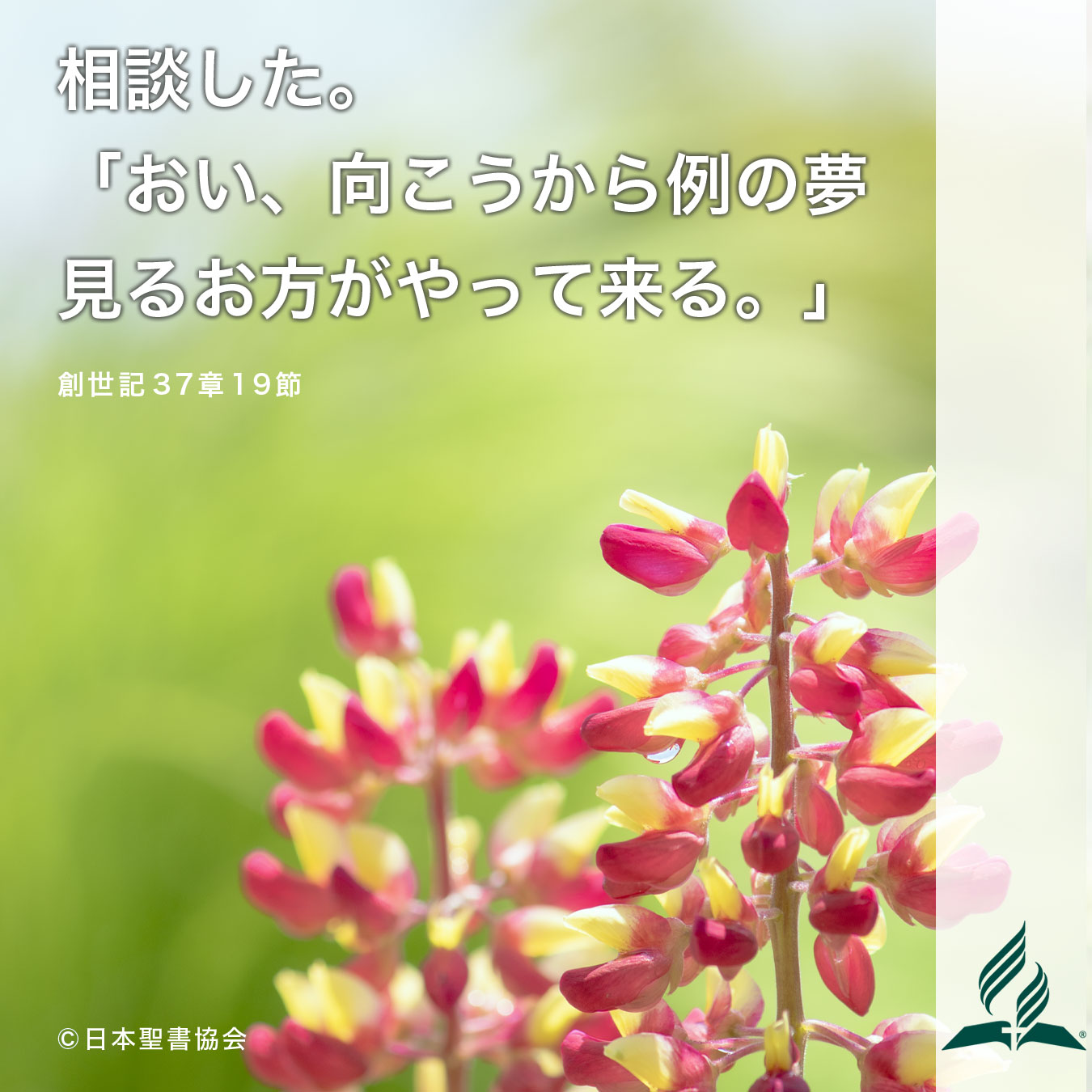 今週の暗唱聖句をお届けします