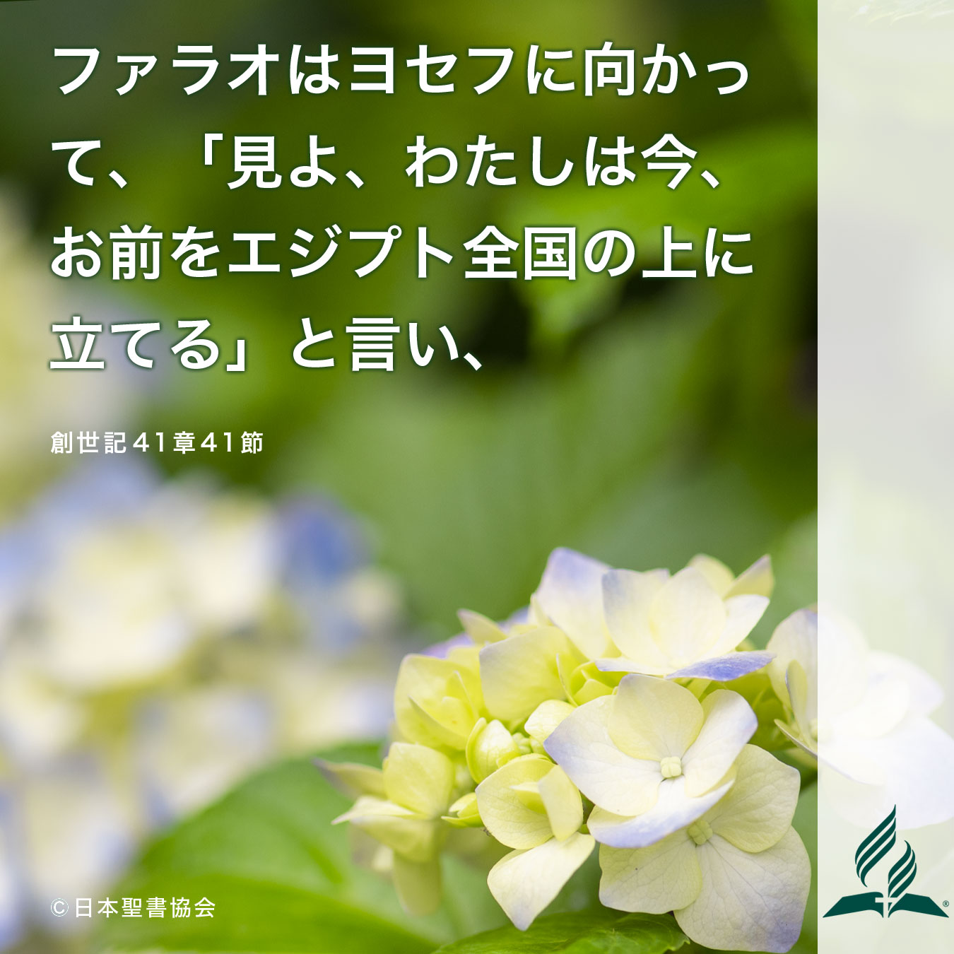今週の暗唱聖句をお届けします
