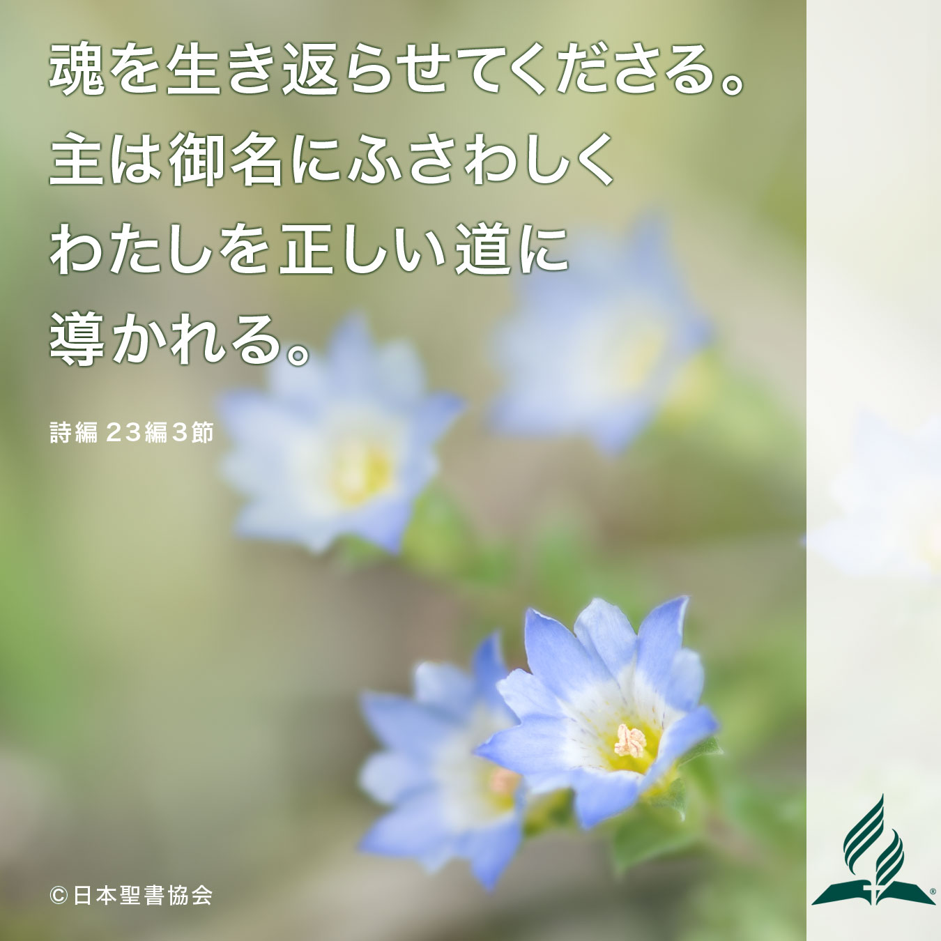 今週の暗唱聖句をお届けします