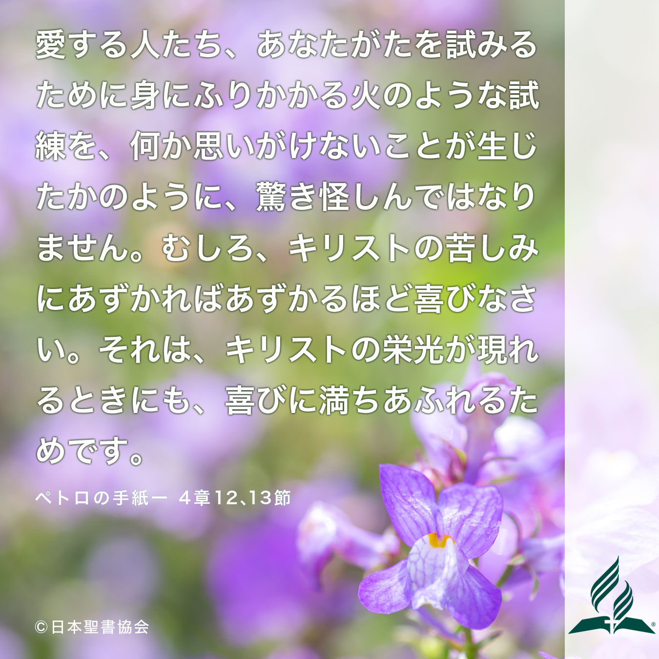 今週の暗唱聖句をお届けします