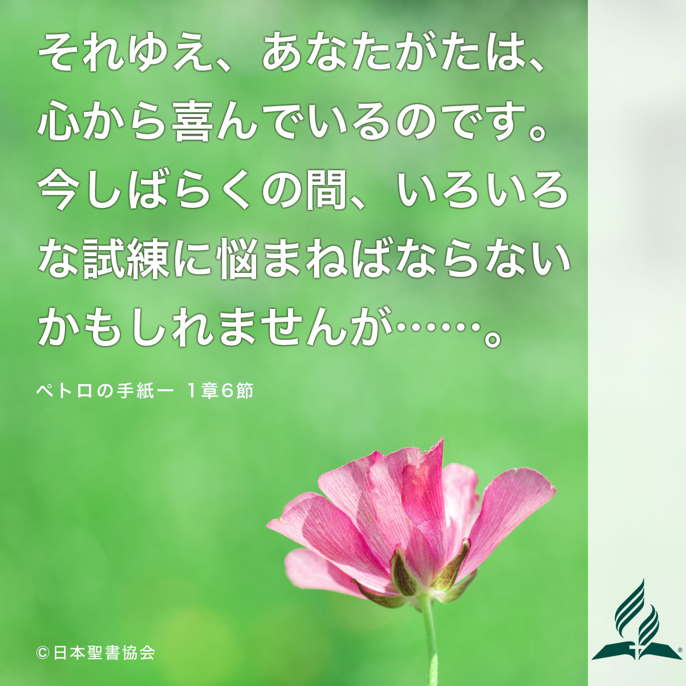 今週の暗唱聖句をお届けします