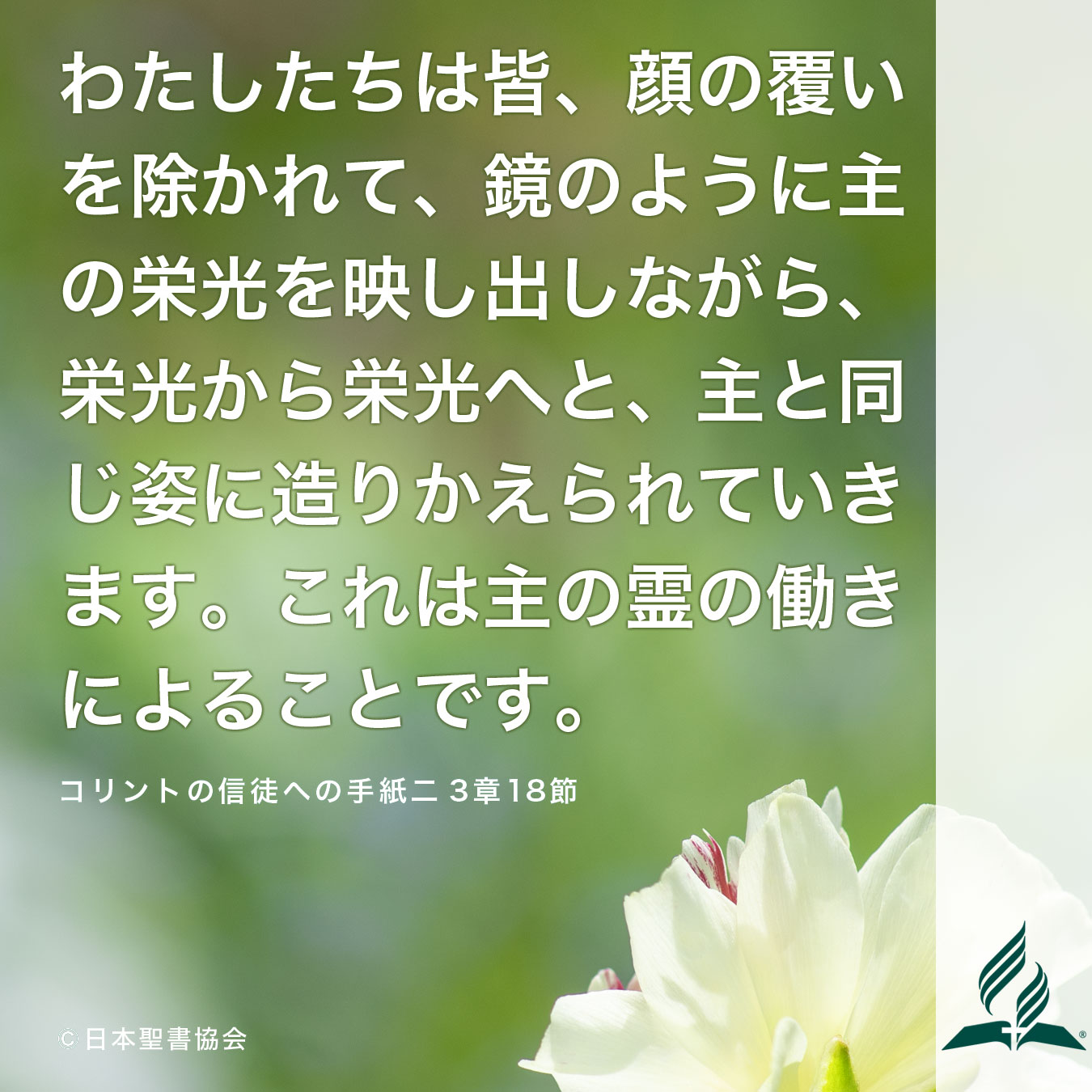 今週の暗唱聖句をお届けします