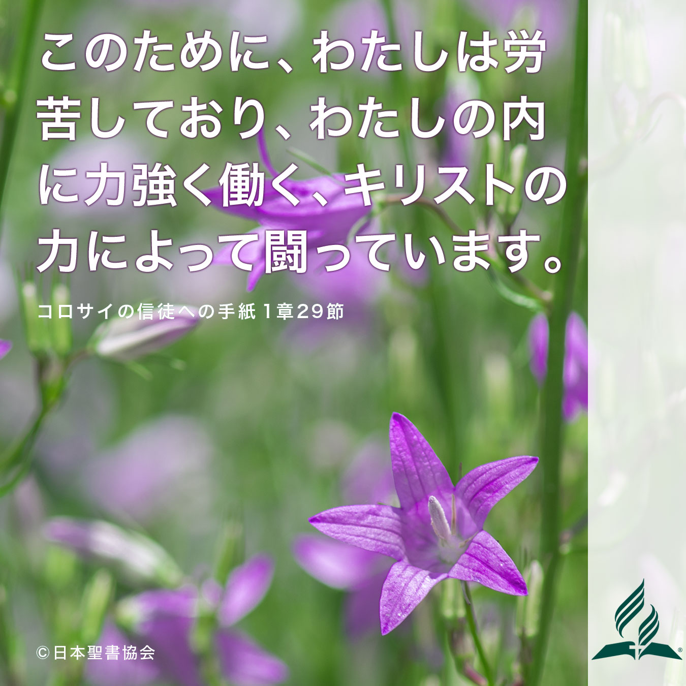 今週の暗唱聖句をお届けします