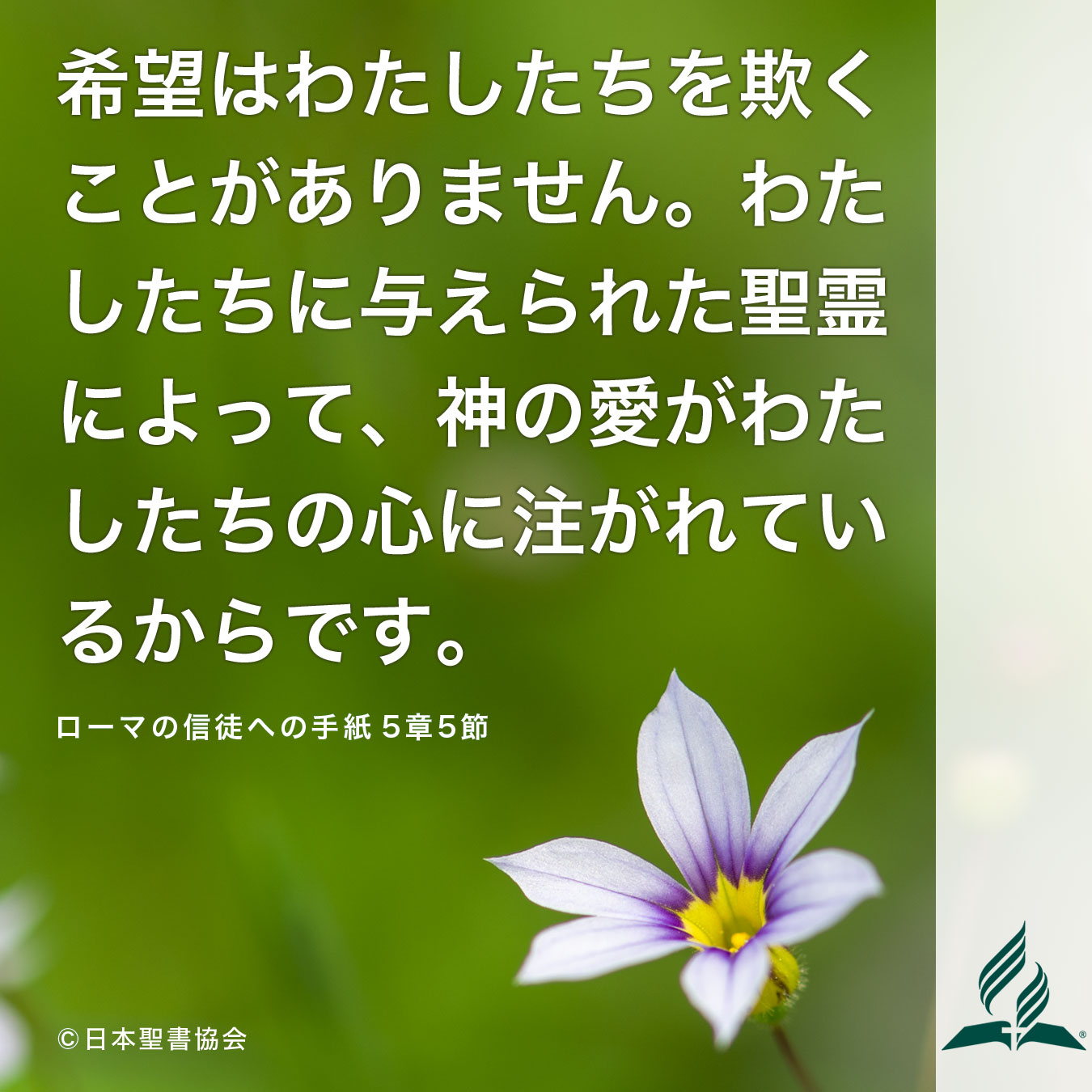 今週の暗唱聖句をお届けします