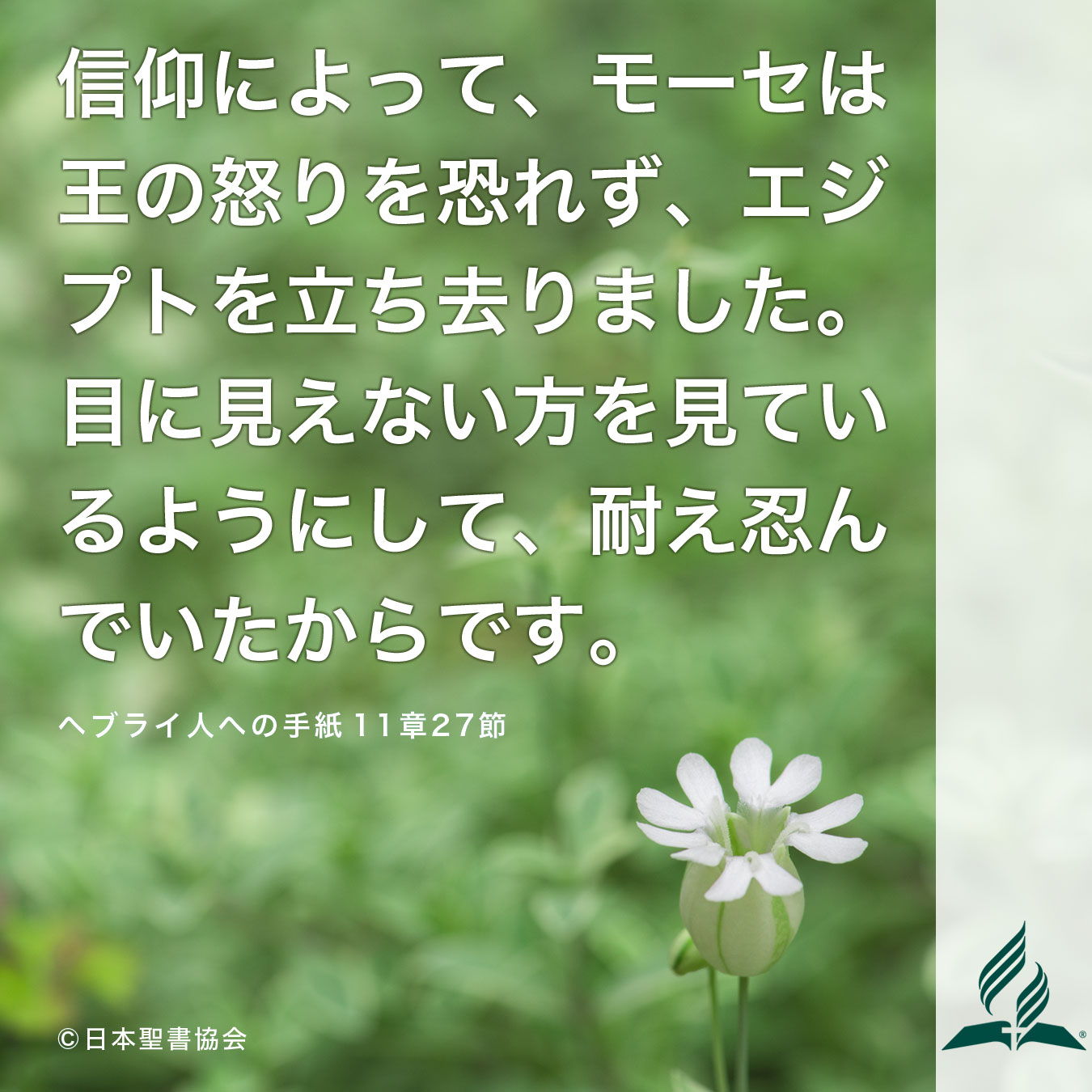 今週の暗唱聖句をお届けします