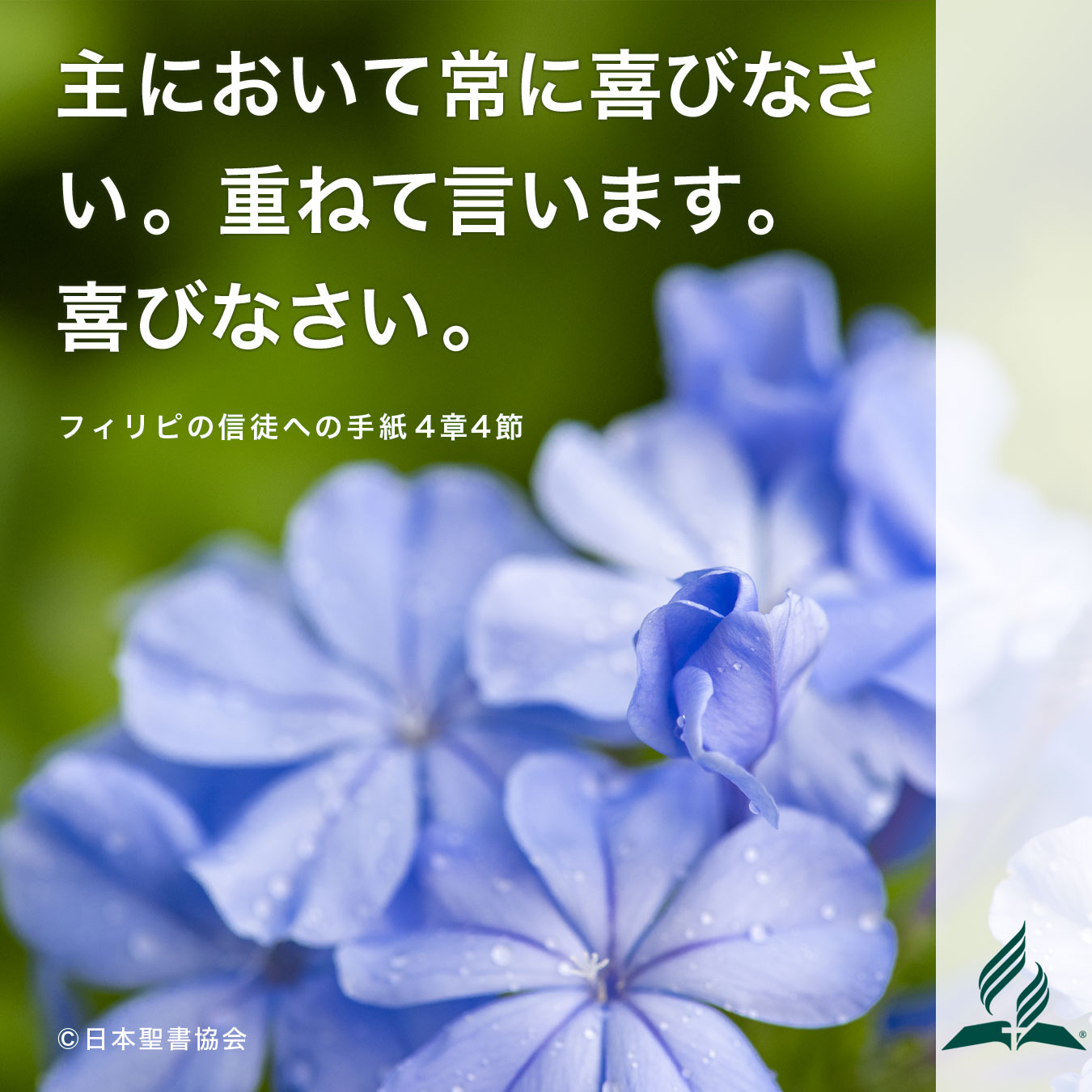 今週の暗唱聖句をお届けします