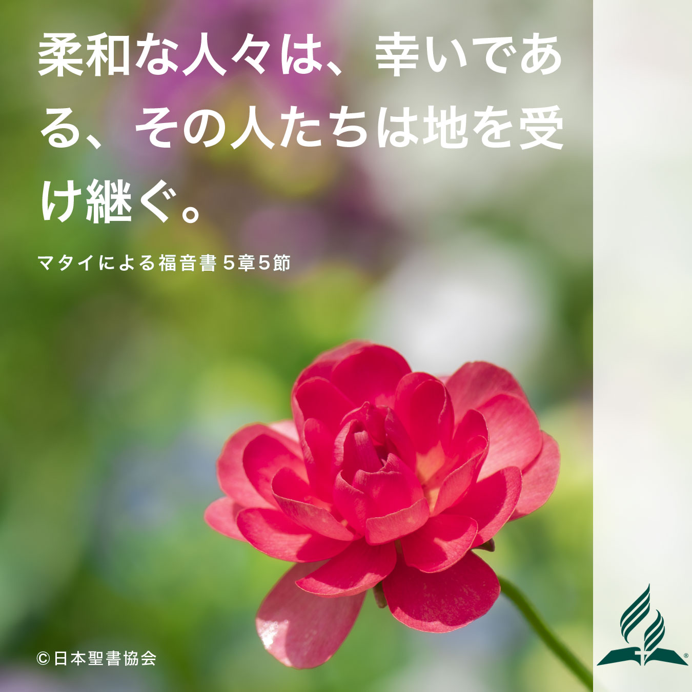 今週の暗唱聖句をお届けします