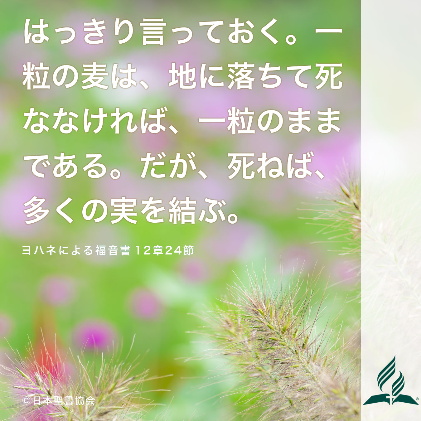 今週の暗唱聖句をお届けします