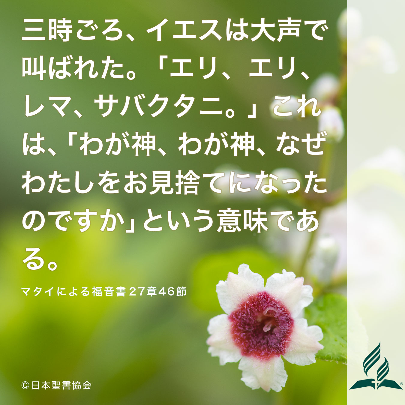 今週の暗唱聖句をお届けします