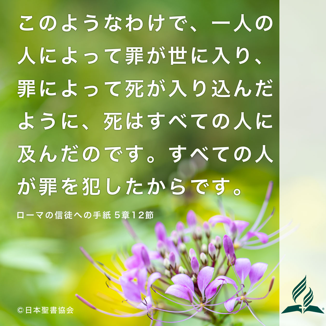 今週の暗唱聖句をお届けします