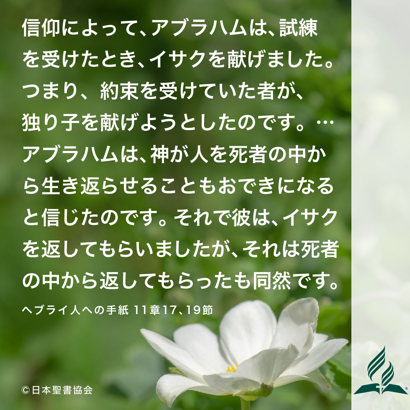 今週の暗唱聖句をお届けします
