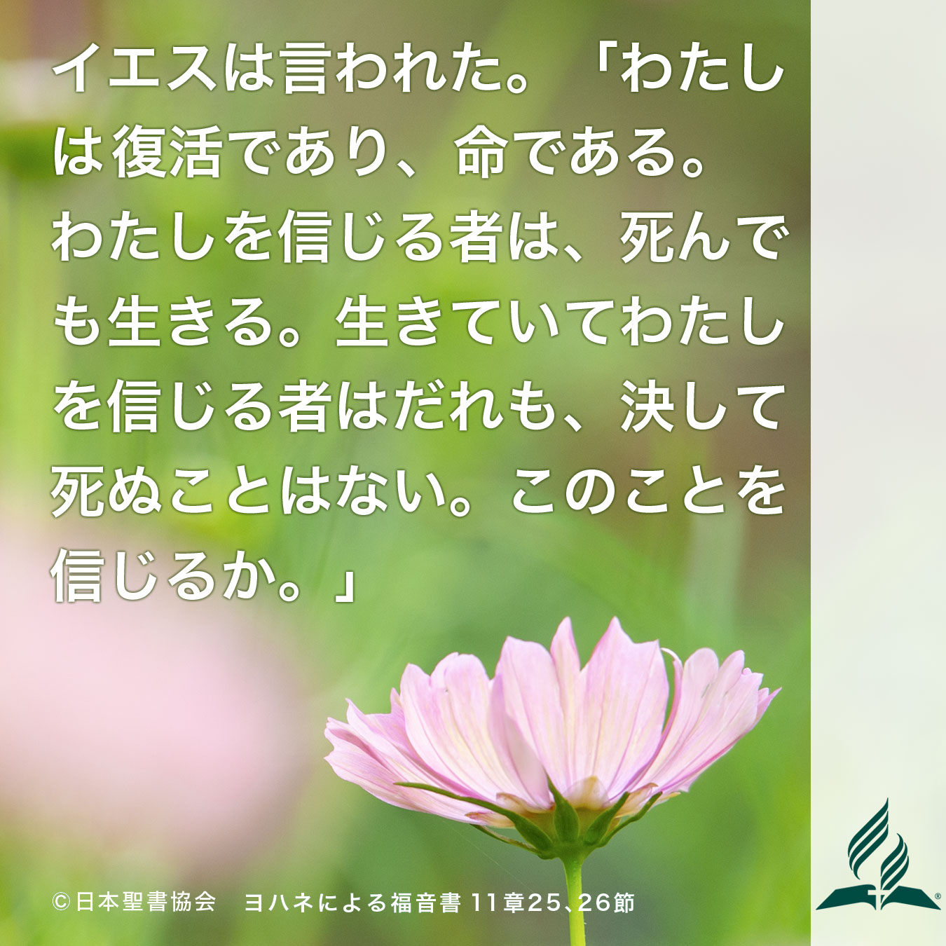 今週の暗唱聖句をお届けします
