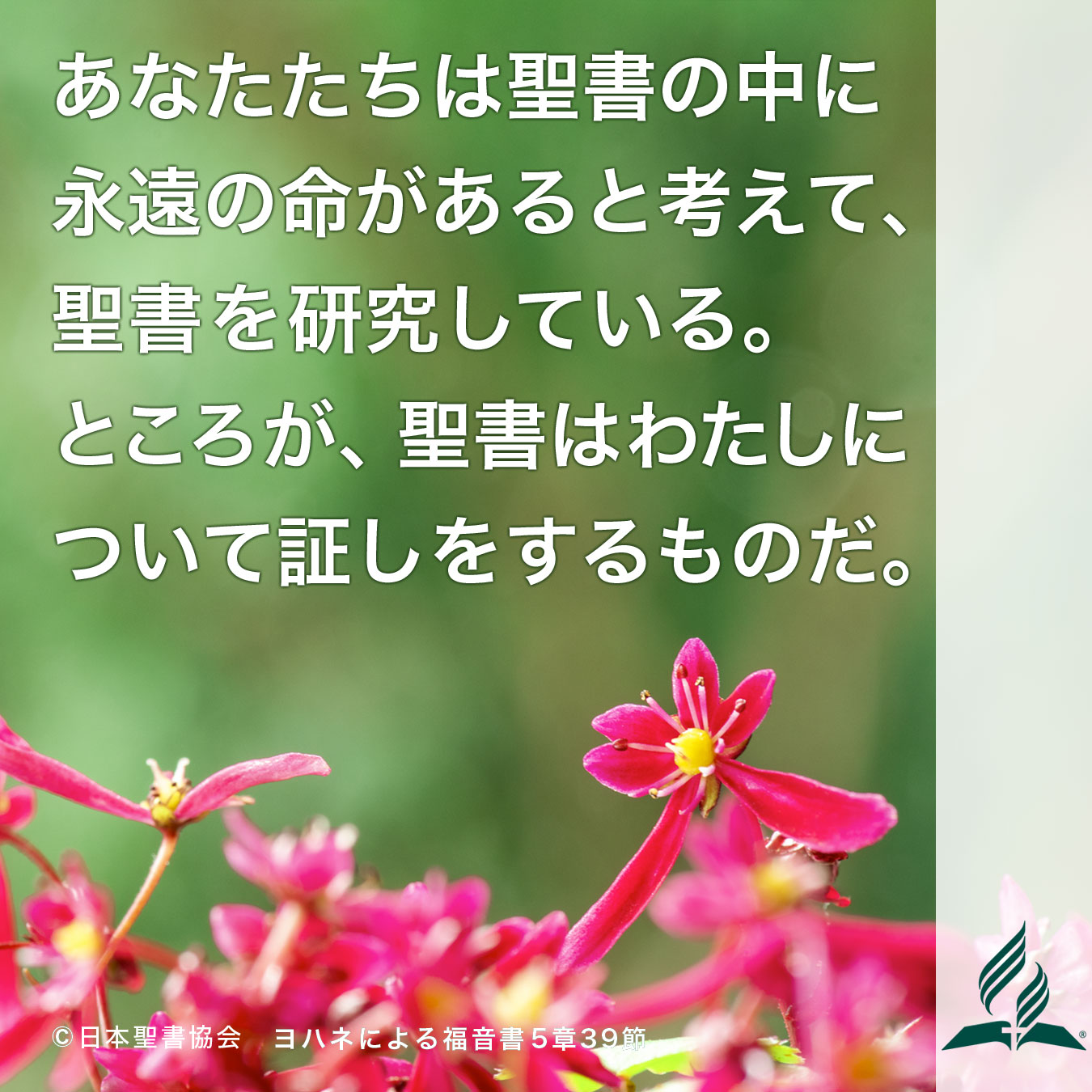 今週の暗唱聖句をお届けします