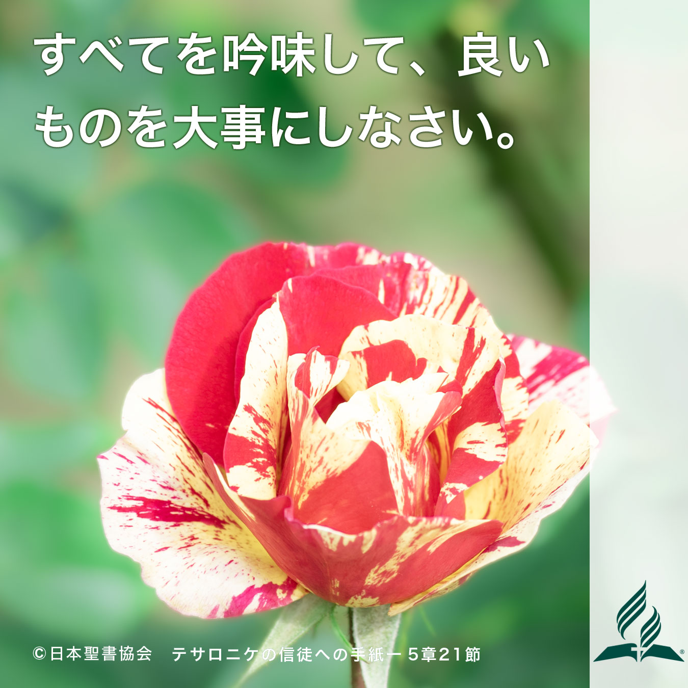 今週の暗唱聖句をお届けします