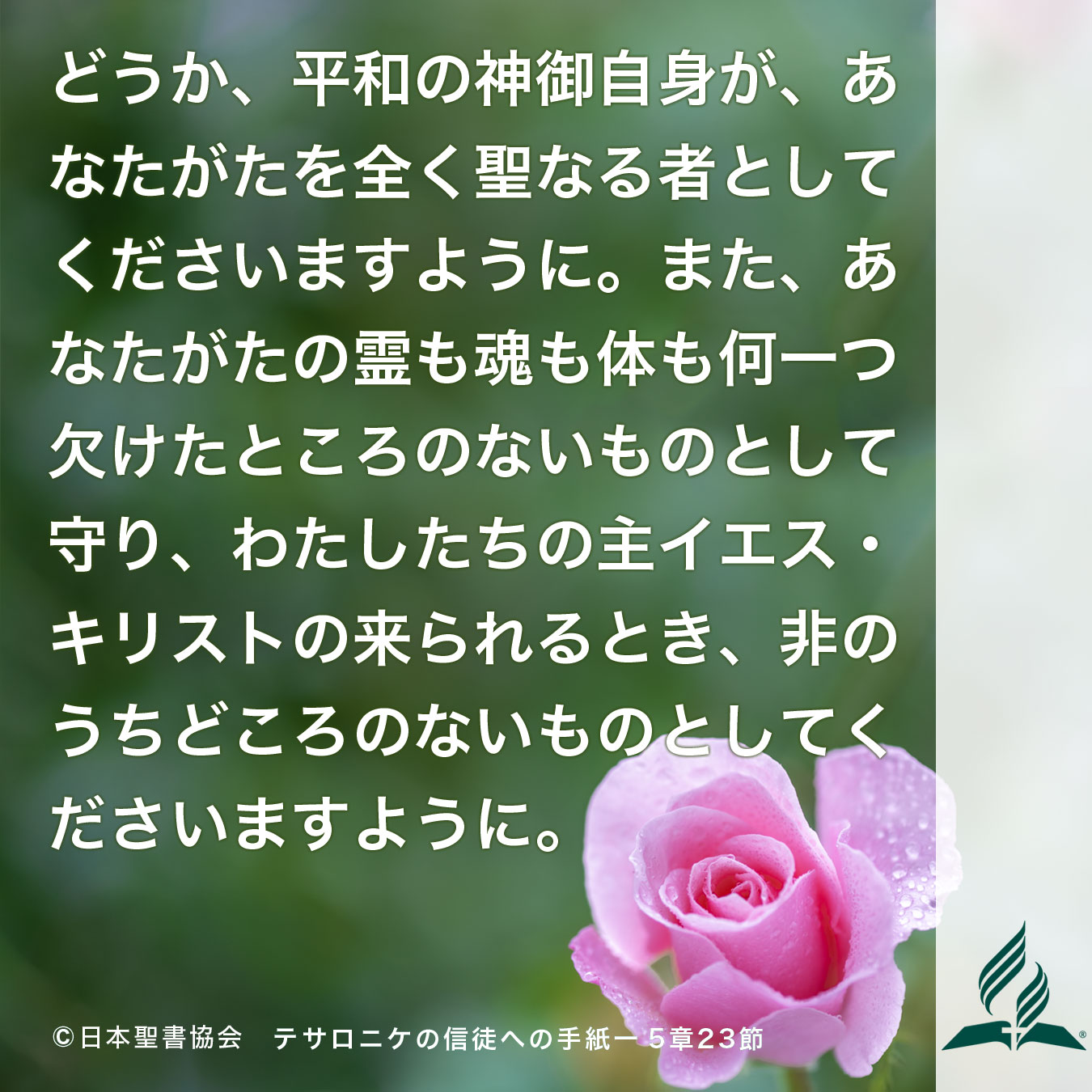今週の暗唱聖句をお届けします
